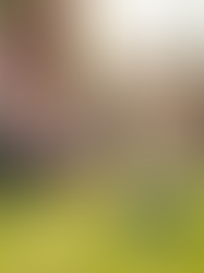 Discover Comprehensive Pet Nanny Services with Paws Pet Nanny LLC