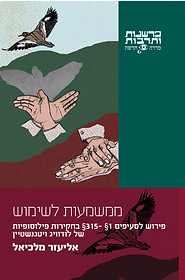 ממשמעות לשימוש