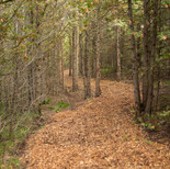 IMG_0564.jpg