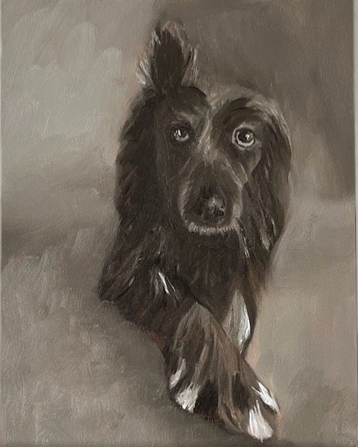 Brown Eyed Bennie
6x8 Oil 