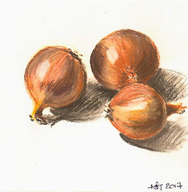 dessin pastel sec oignons jaune