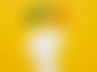 Inteligência Emocional: Uma Habilidade Indispensável para o Sucesso no Século XXI