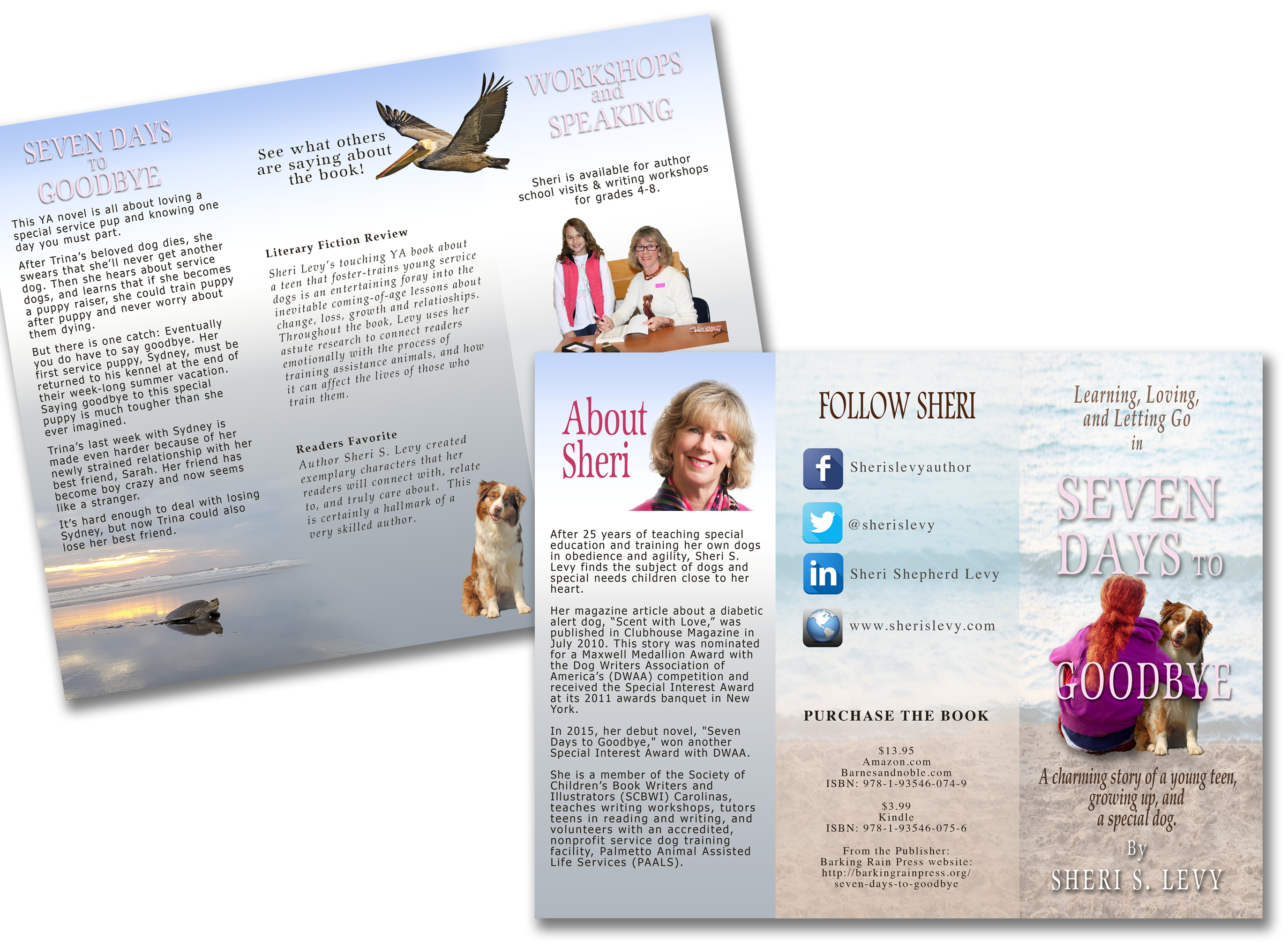 Brochure for author