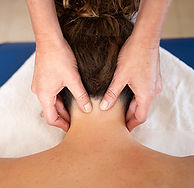 neck and shoulder sq sm.jpg