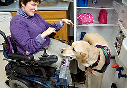 Client photo for donation representation