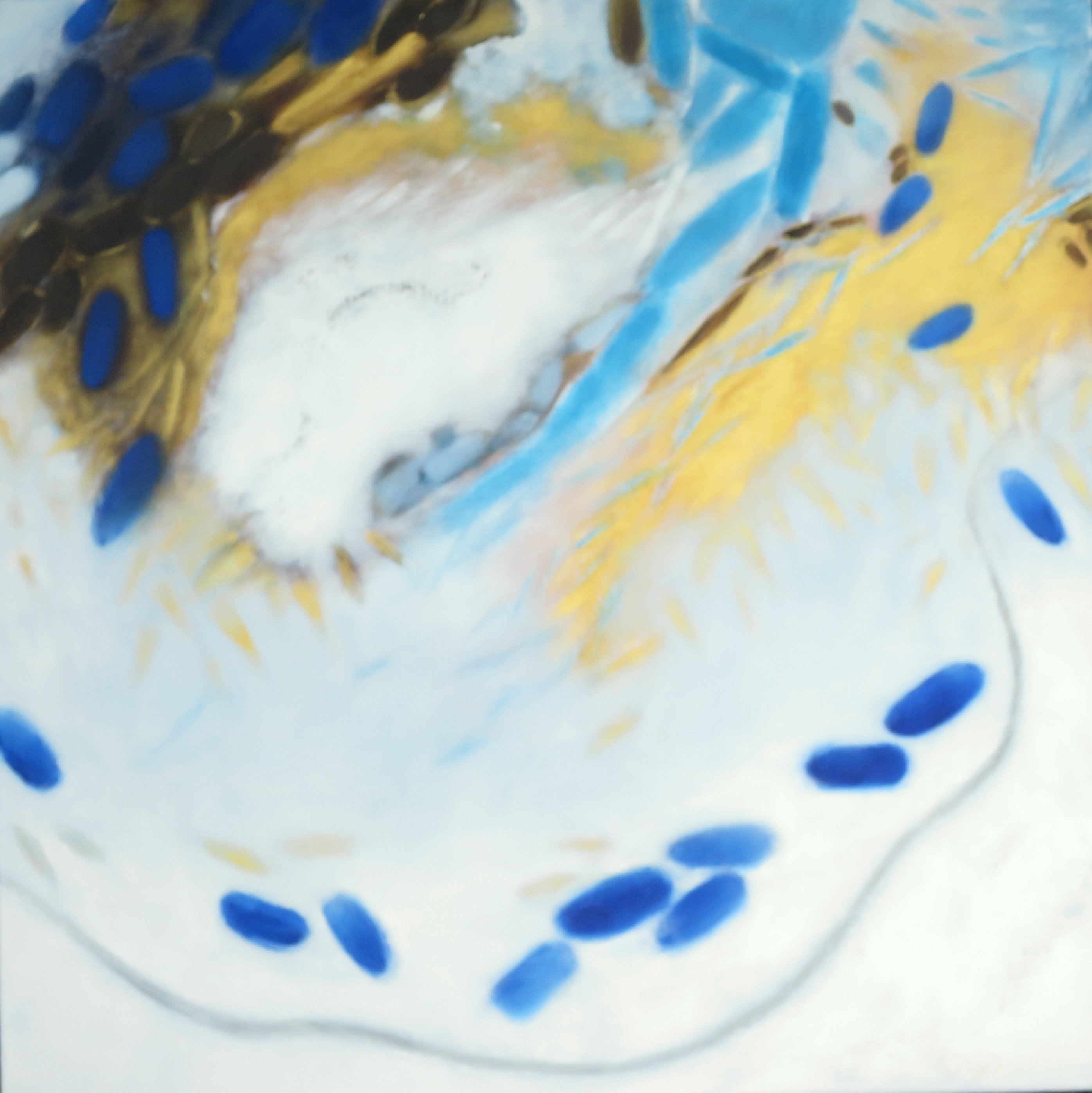Transfiguration 4
