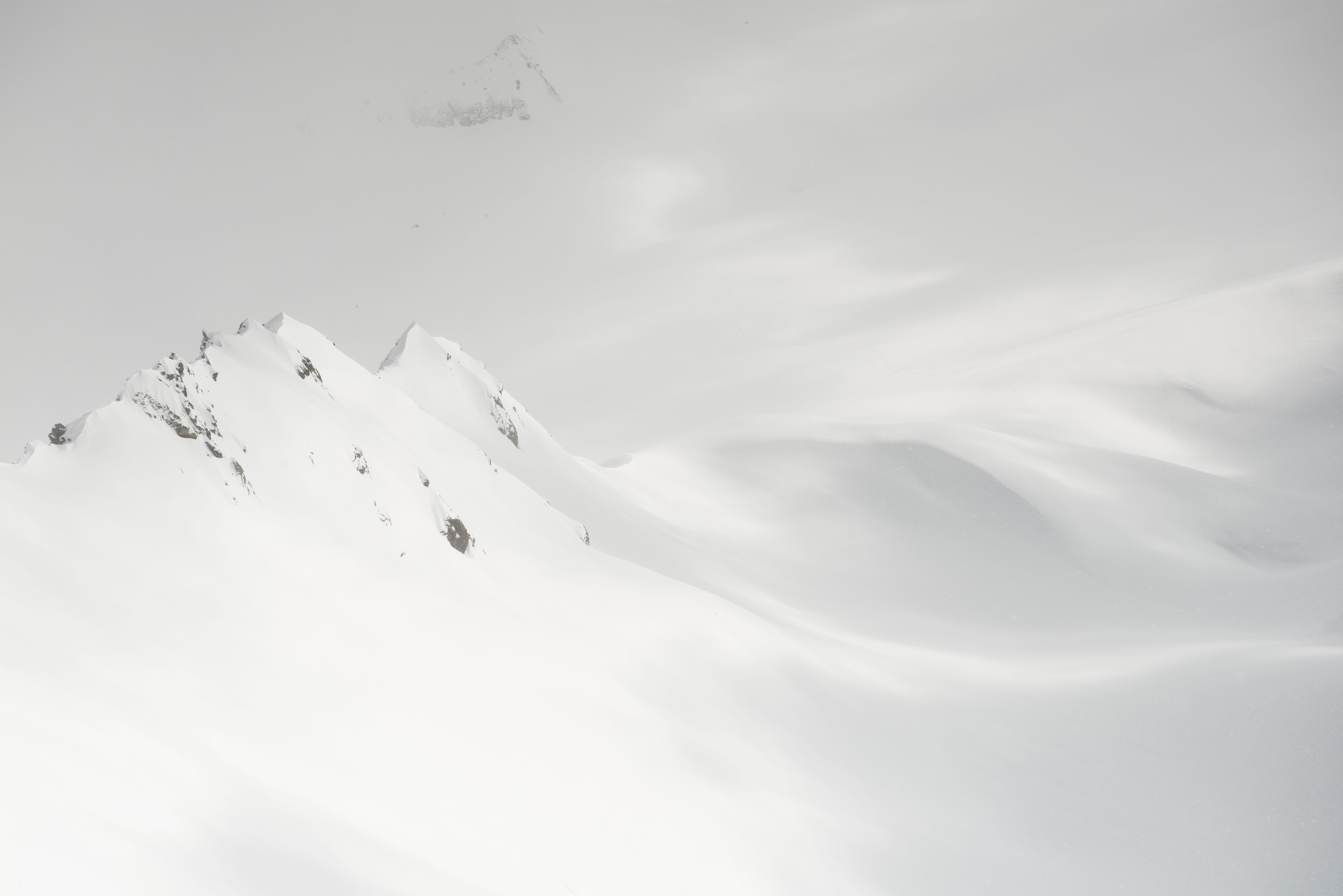 COLD SOFTNESS