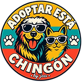 2EC9E051-E171-48D5-8AF8-F973BAB34E39.PNG