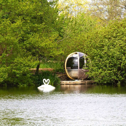An outdoor pod nestled amongst greenery at the side of a lake, where two swans are swimming
