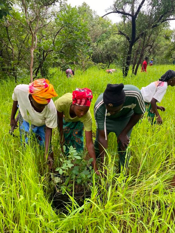 La comunidad participando en las plantaciones (©YK/IJGE)