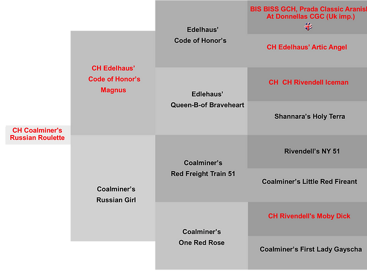 Lettie pedigree graphic.png
