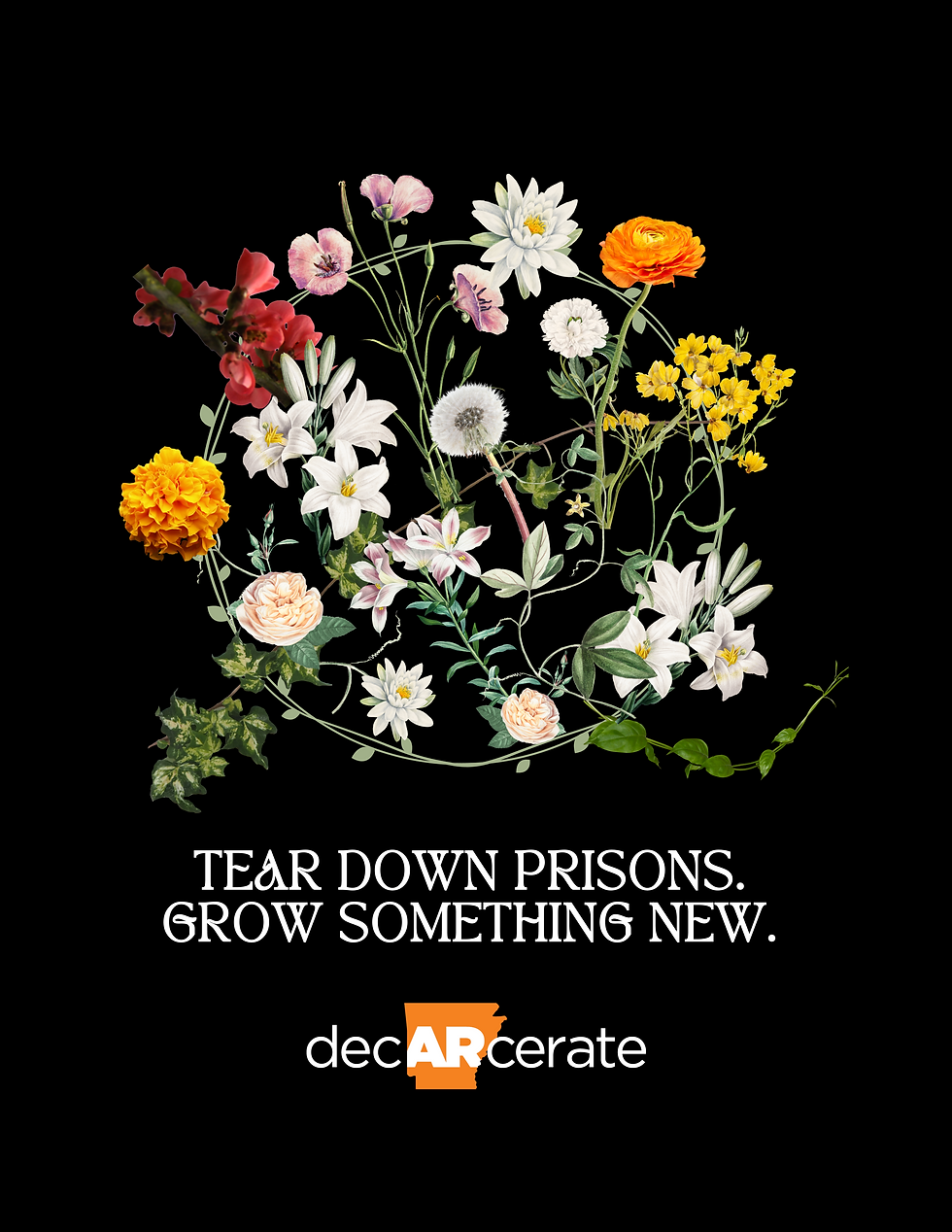 Thumbnail: Tear Down Prisons. Grow Something New. T-Shirt