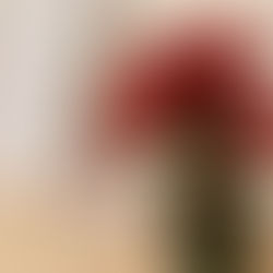 学校の英語とヘイレックスの英語