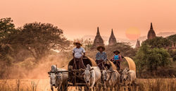 MYANMAR