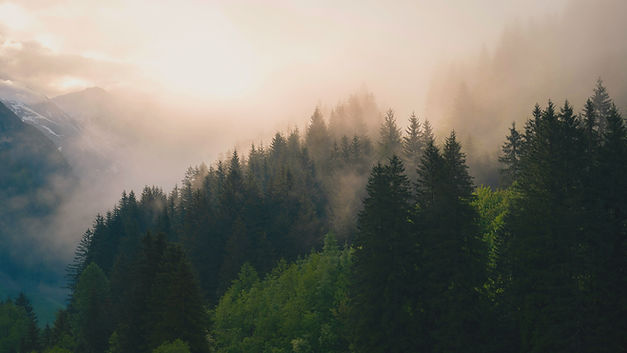 moody atmosphere in the mountains_edited.jpg