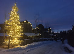 tree lighting colorado