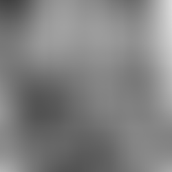 PLAYING YOUNG ALLIE IN THE WORLD PREMIERE OF THE NOTEBOOK MUSICAL