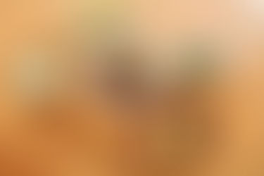 in Osaka trip, Japanese home meal cooking class - Experieat Osaka Flavors