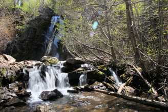 Waterfalls and Wildflowers
