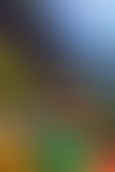 Bhutan: A Journey of a Lifetime