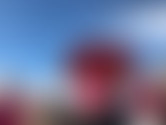 This is what we are going to do.