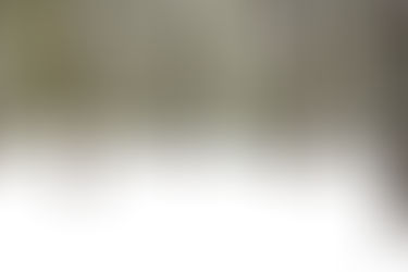 Donner Memorial State Park (Lake Tahoe)