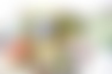 The Adventure & Travel Gift Guide: Travel Planner Edition