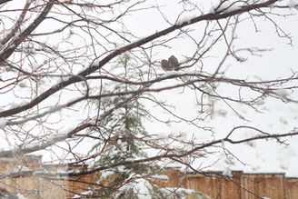 Adios, Winter. Hello, Water Conservation.