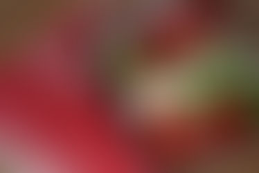 Low Carb Lunchbox: Tomato + Basil