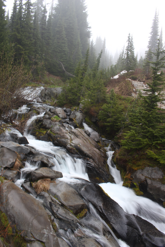 Chasing Waterfalls at Mount Rainier National Park