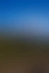 Travel Basics: Argentine Patagonia (Los Glaciares National Park)