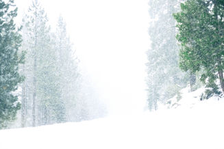 Cartwheels, Snow, and Mountains