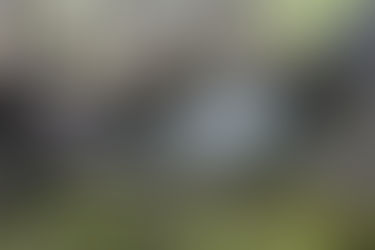 A Reiki Session in Reno