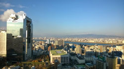 Picasa - WP_20141213_08_21_38_Pro.jpg