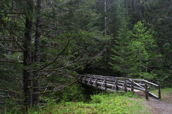 Olympic National Park