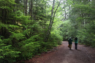 Olympic National Park: Boulder Creek Trail to Olympic Hot Springs