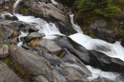 Mount Rainier National Park