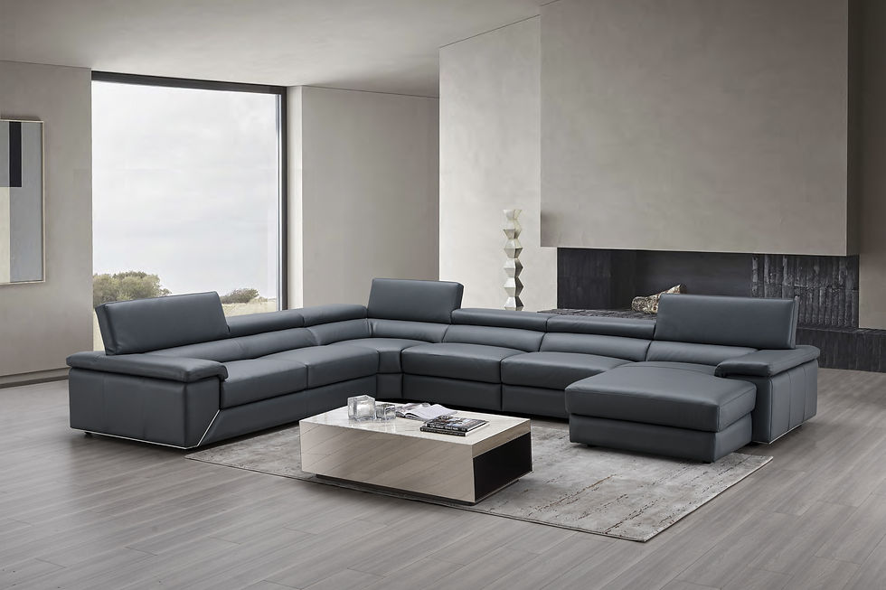 Premium Leather Sectional