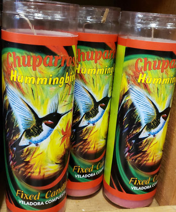 Chuparrosa /Hummingbird