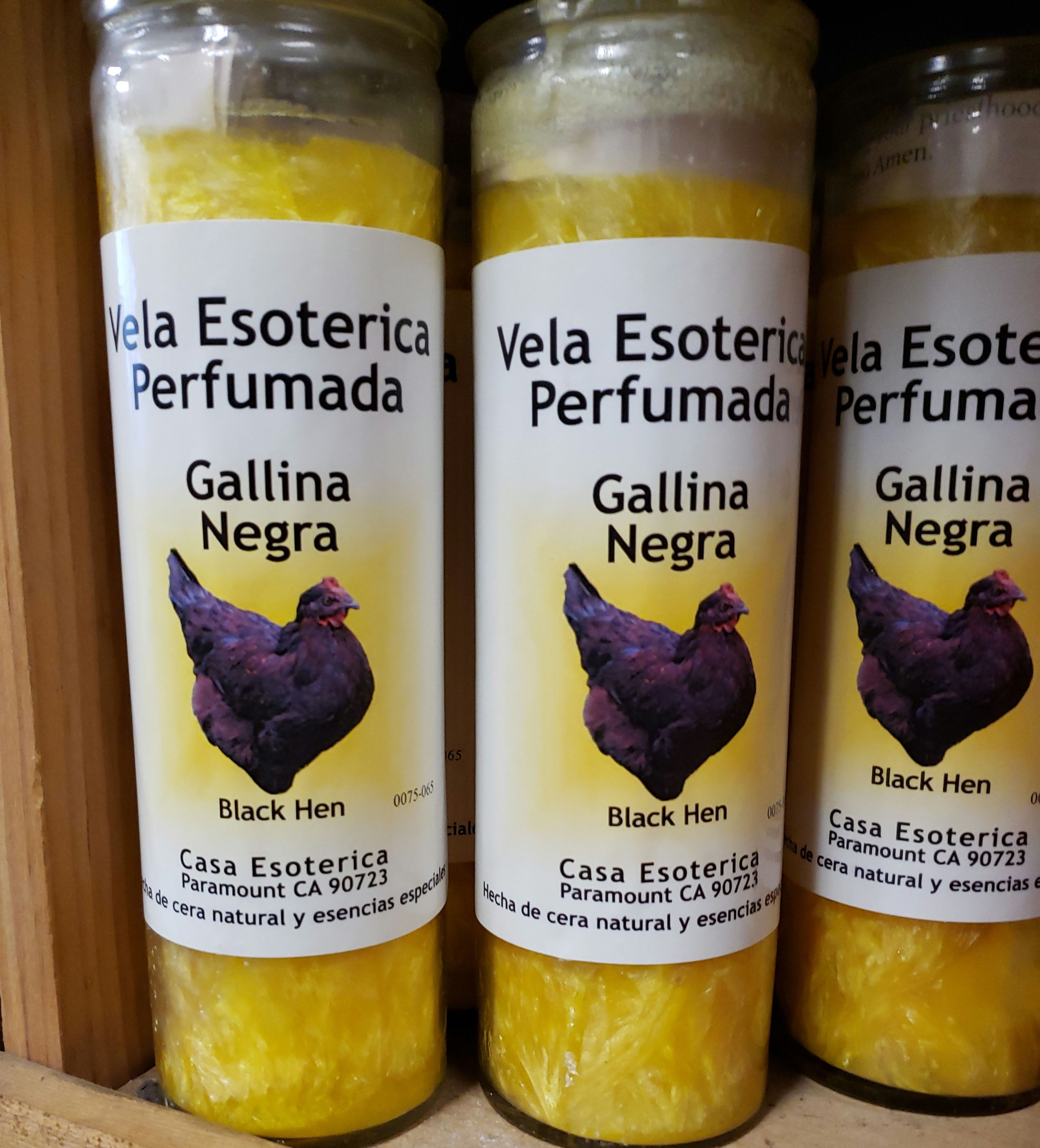 Gallina Negra / Black Hen 7 Day