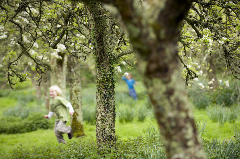 Uk Orchard Network Home