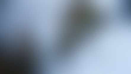 요산결정과 석면의 같은 점과 다른 점