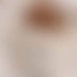 seedy sourdough loaf in lagom bakery bread bag