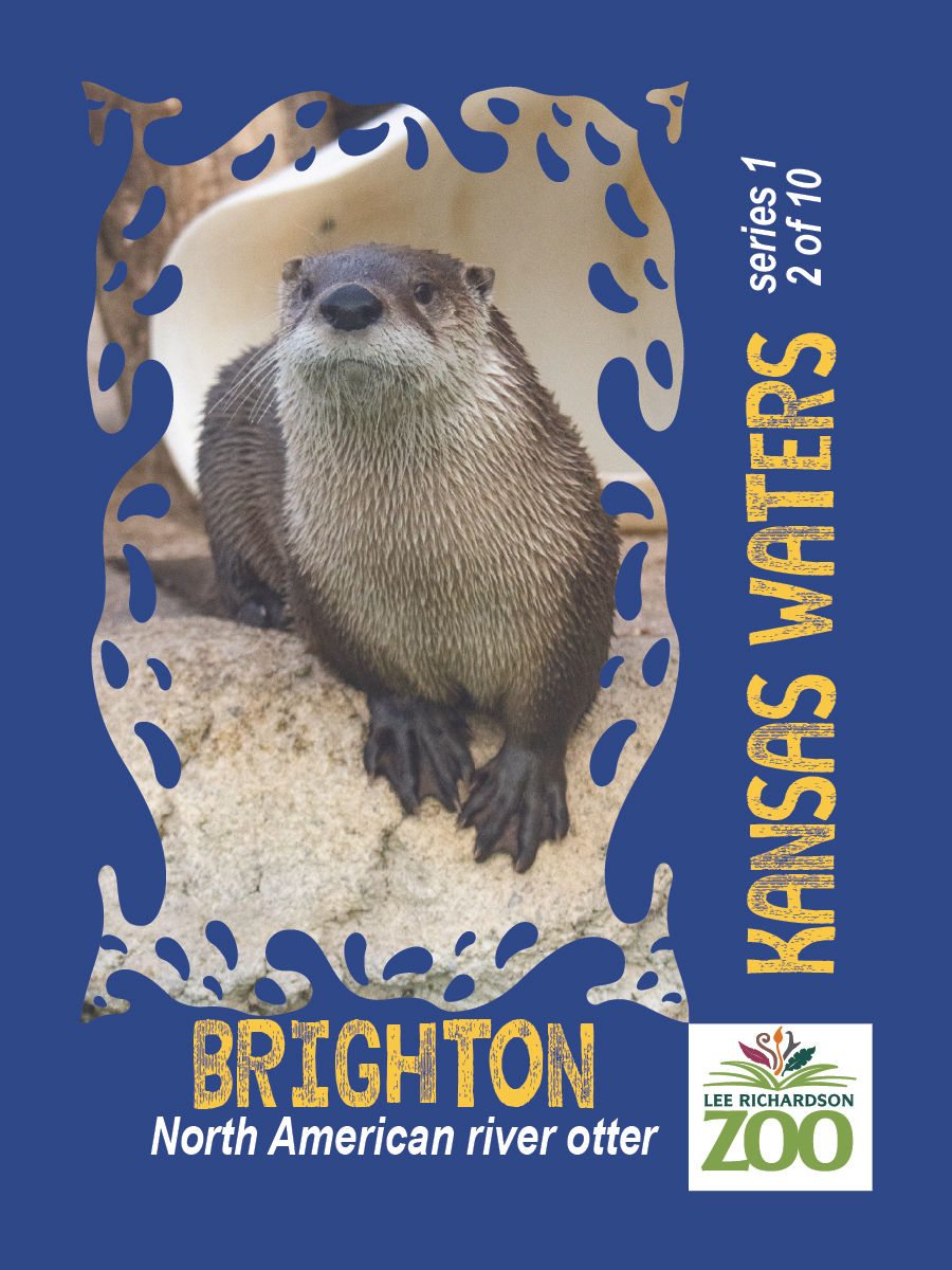 Brighton