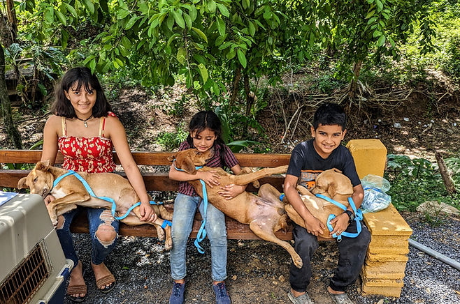 First Spay and neuter clinic.