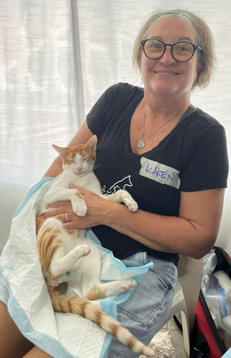 Kitty recovery from his neuter.