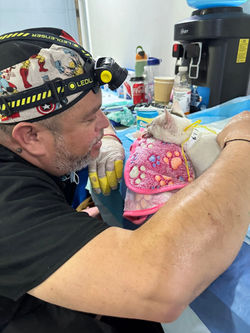 FB_IMG_1757191067518