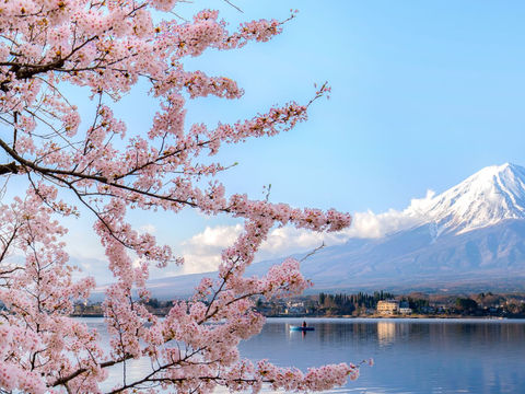 Japan Moving Checklist|8 Things to Prepare Before Moving to Japan