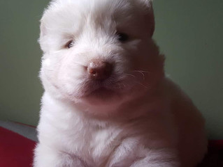 New Baby Boy!!