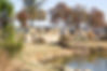 East Lawrence Memorial Gardens, Moulton, al, alabama, cemetery, burial, bury, pet memorial, burial, decatur